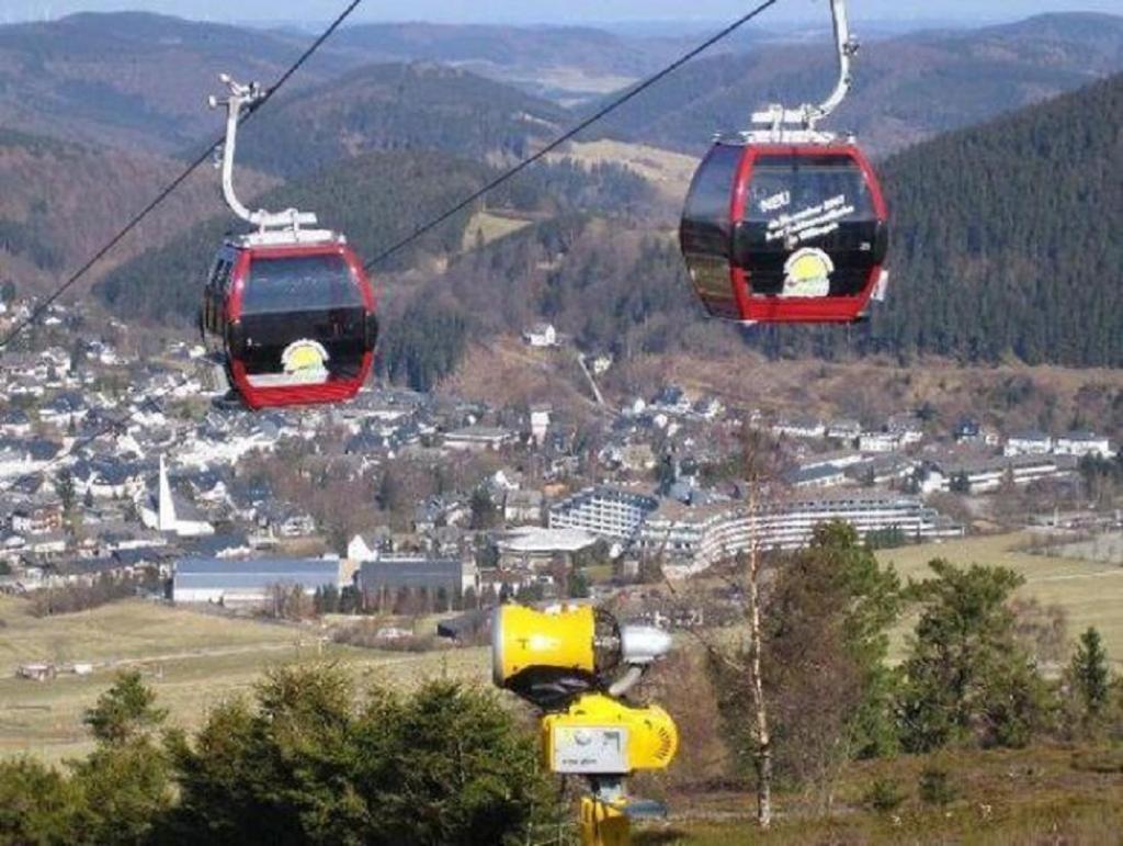 Typ Murmeltier Schmallenberg Kültér fotó