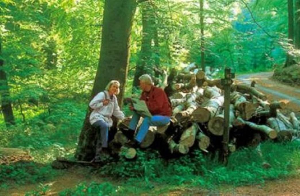 Typ Murmeltier Schmallenberg Kültér fotó